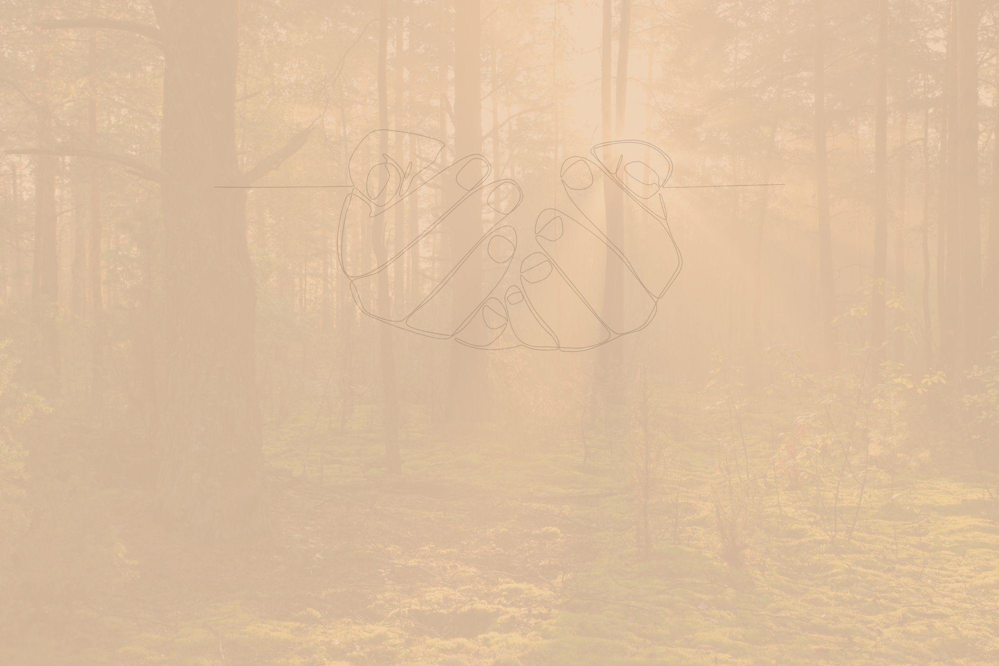 Das Bild zeigt einen Wald in warmem, goldenem Licht. Zwischen den Bäumen fällt weicher Sonnenschein auf einen moosigen Waldboden. In der Bildmitte schwebt eine feine Linienzeichnung zweier sich haltender Hände. Unten steht der Text: „Da sein.“ – daneben ein Kreuzsymbol – „Katholische Kirche, Pastoraler Raum Lebach“.