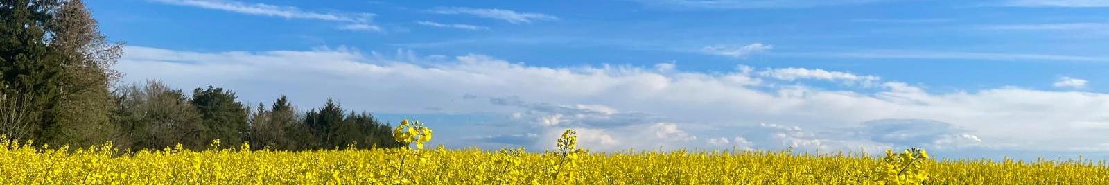Pfarrei Schmelz Heilige Barbara
