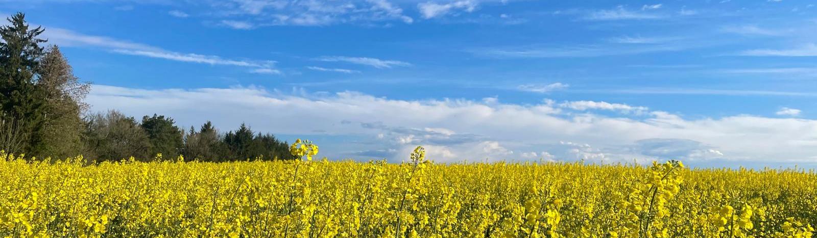Pfarrei Schmelz Heilige Barbara