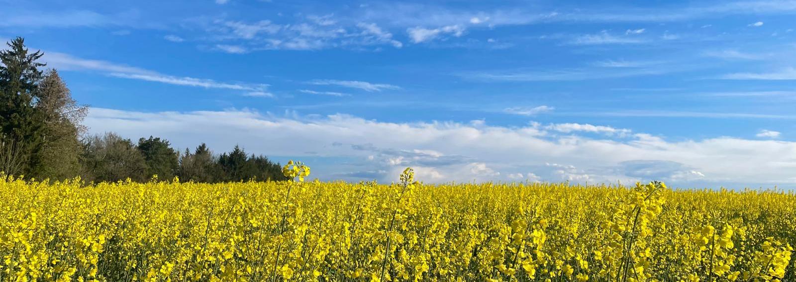 Pfarrei Schmelz Heilige Barbara