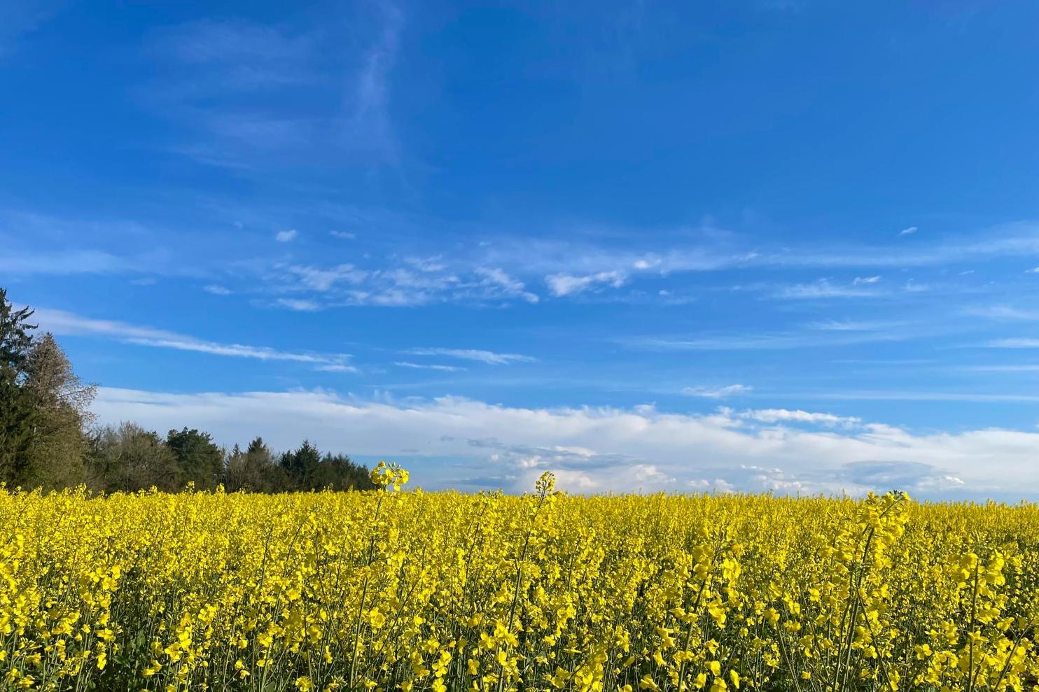 Pfarrei Schmelz Heilige Barbara