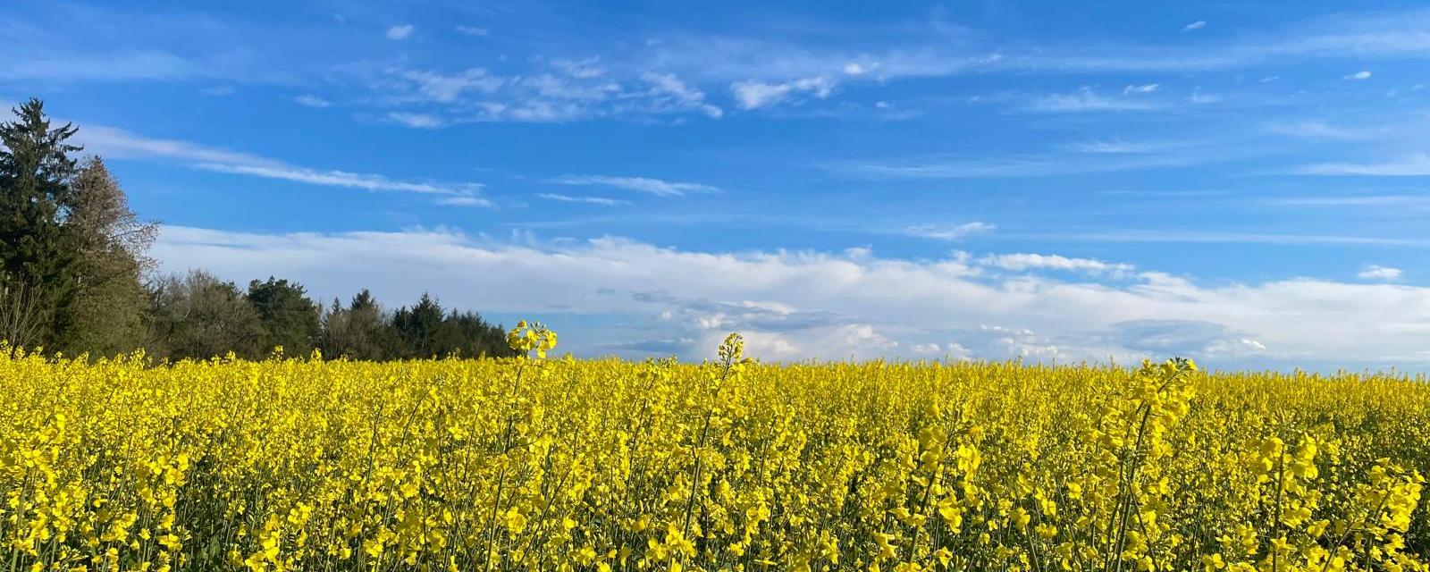 Pfarrei Schmelz Heilige Barbara