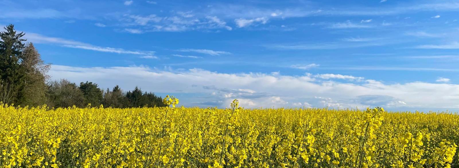 Pfarrei Schmelz Heilige Barbara