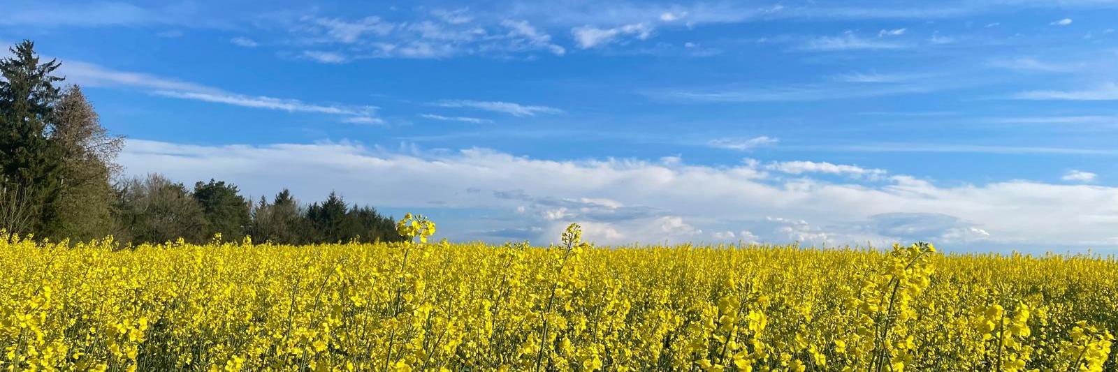 Pfarrei Schmelz Heilige Barbara